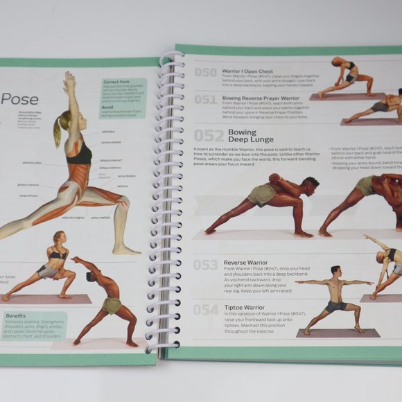 Anatomy of Fitness 501 Yoga Exercises - Picture 5 of 10